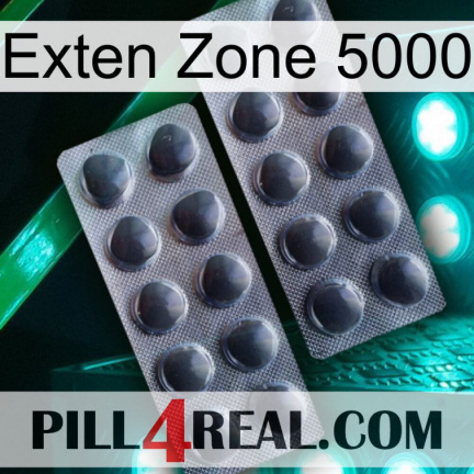 Exten Zone 5000 31